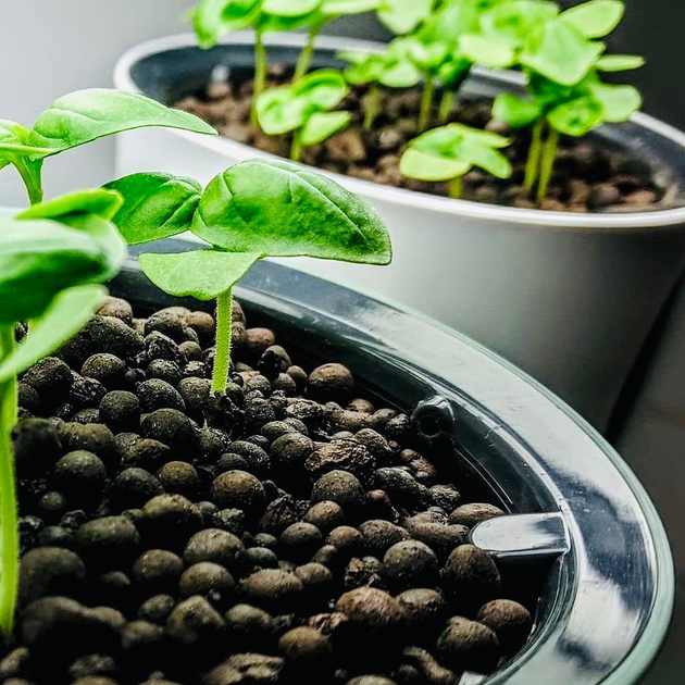 Botanium – ボタニアムジャパン BOTANIUM(ボタニアム) 水耕栽培キット