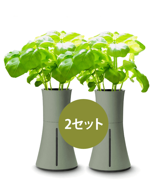 未使用‼️BOTANIUM 水葉栽培 ボタニウム ホワイト BOTANIUM 2セット (当サイト限定) – ボタニアムジャパン