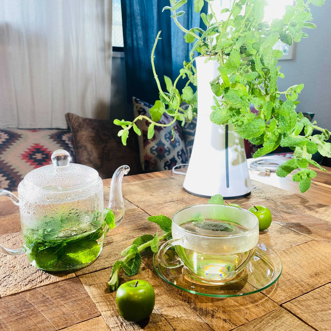 公式】水耕栽培キット・家庭菜園プランターのボタニアムジャパン