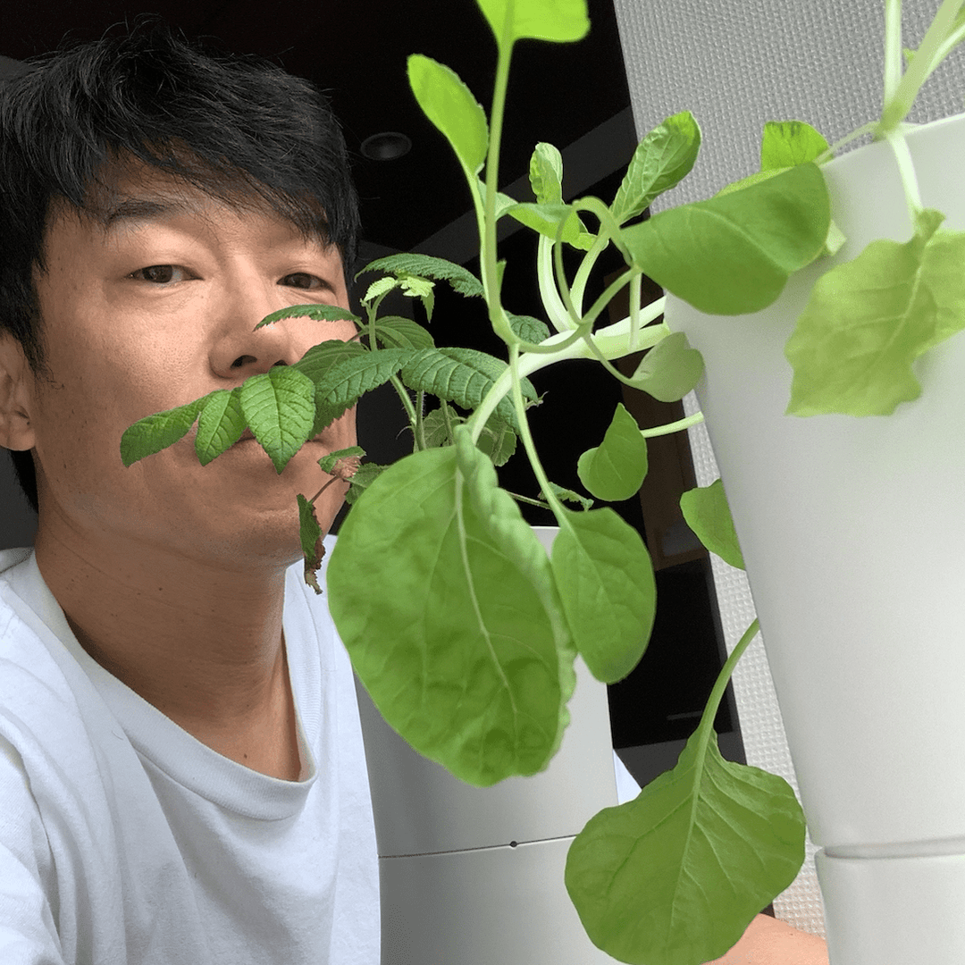 公式】水耕栽培キット・家庭菜園プランターのボタニアムジャパン