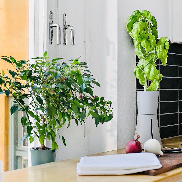 8_8ce48e15-2f09-404d-a9c3-