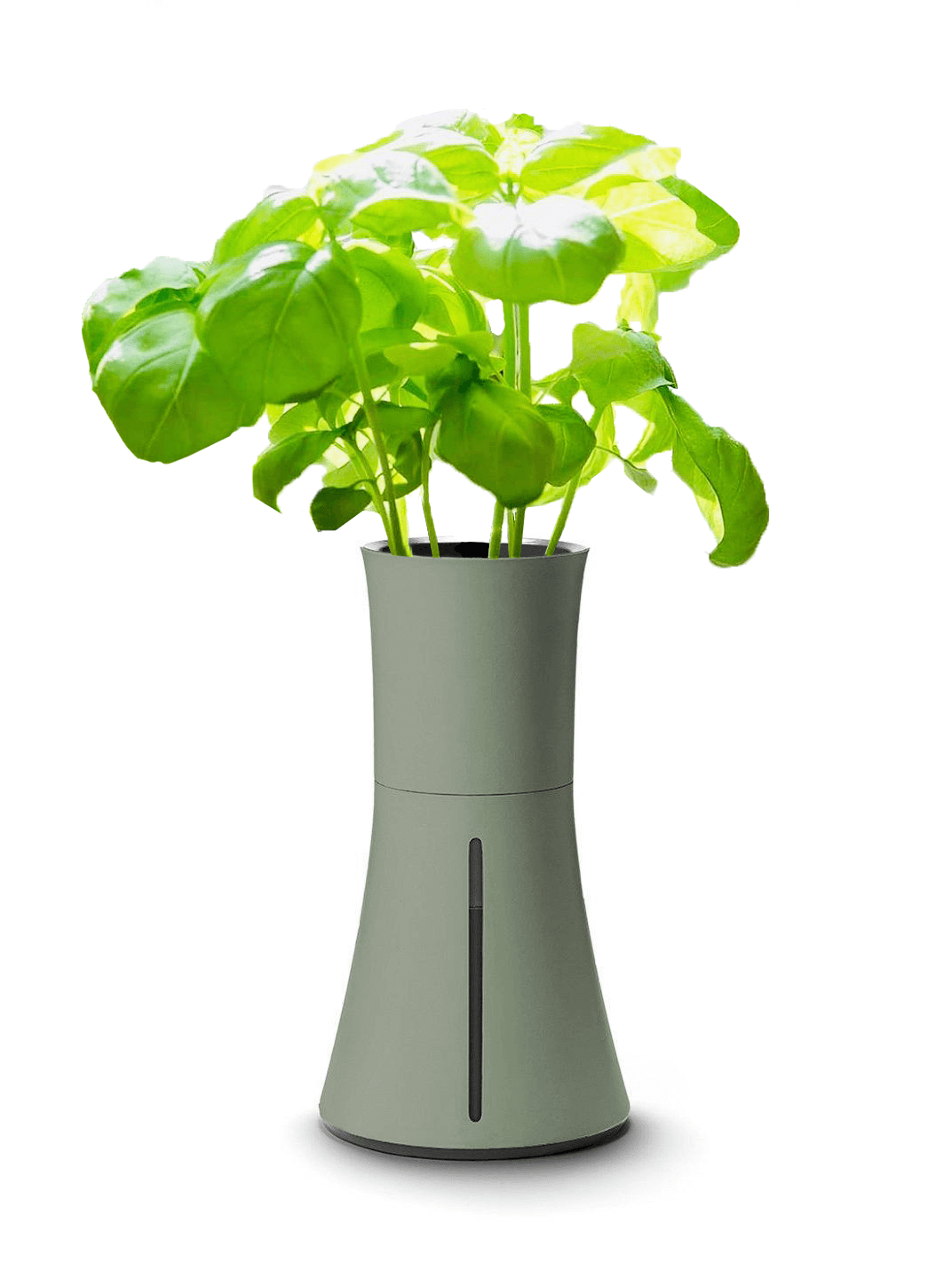 botanium-2-better.png?v=1613799063