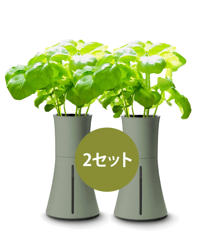 BOTANIUM 2セット (当サイト限定) – ボタニアムジャパン BOTANIUM 2セット (当サイト限定) – ボタニアムジャパン