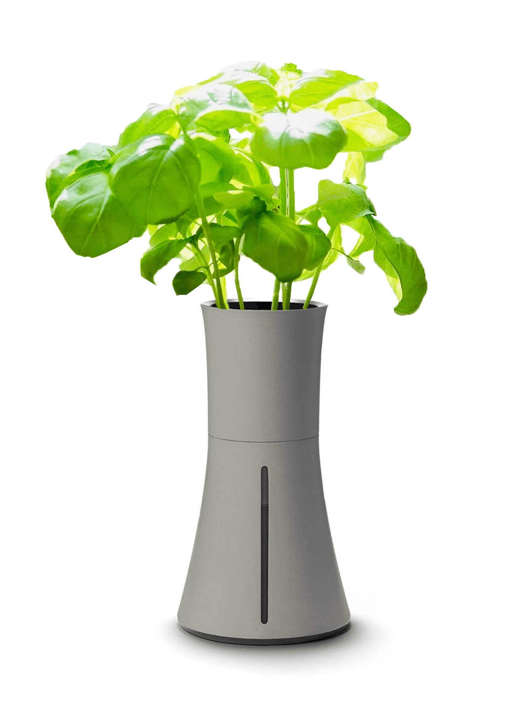 BOTANIUM(ボタニアム) – ボタニアムジャパン BOTANIUM(ボタニアム) – ボタニアムジャパン